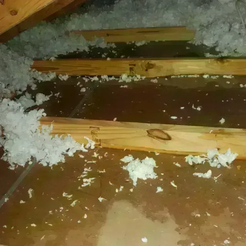 Attic Water Damage in Andrews, TX