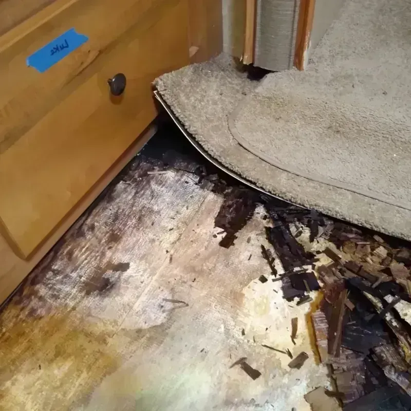 Wood Floor Water Damage in Andrews, TX